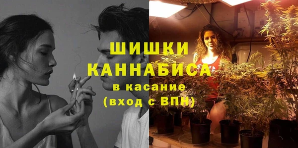 твердый Зеленодольск