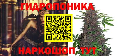 эйфоретик Будённовск