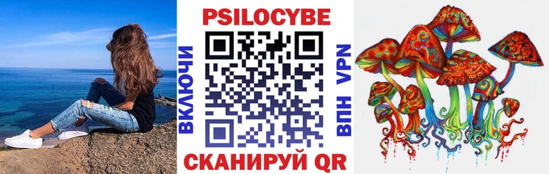 Псилоцибиновые грибы Psilocybine cubensis  Камышлов 