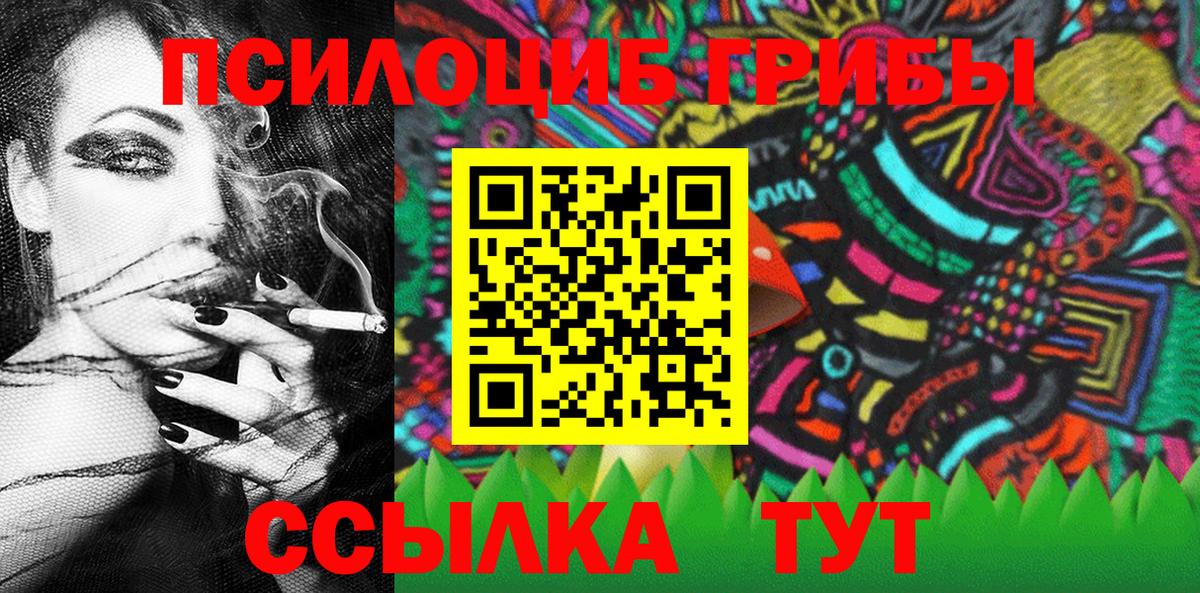 Галлюциногенные грибы Psilocybe Камышлов