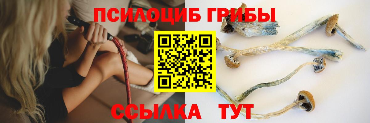 Галлюциногенные грибы мухоморы  Вход с VPN  Камышлов 